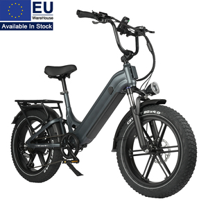 Vélo électrique cargo à cadre basse, pneus larges CST 20x4.0, 250 W, 48 V, batterie 18 Ah, freins hydrauliques Zoom, 7 vitesses - Product Image 1