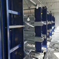 Équipement d'élevage de poulets en forme de H entièrement automatique avec système de collecte d'œufs automatique pour grandes exploitations en Moyen-Orient
