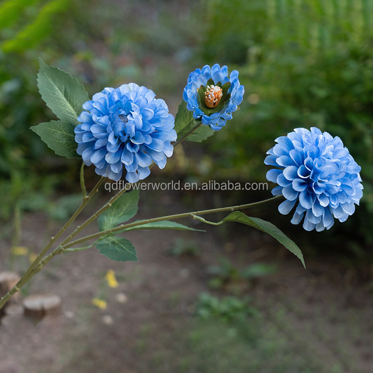#10 Bleu
