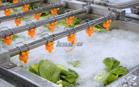Industriële gemotoriseerde wasmachine voor fruit, groenten, yam, rambutan, citroenzaden, 2000 kg/uur, SUS304 roestvrij staal, bubbelwassing