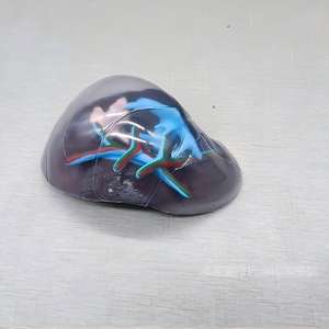 Modèle d'enseignement anatomique du segment du foie humain transparent - Outil éducatif en hépatologie - Product Image 3