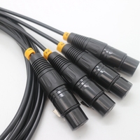 DB9PIN a 4 XLR Cable de audio hembra Xlr 3pin DB9 a Xlr Cable personalizado