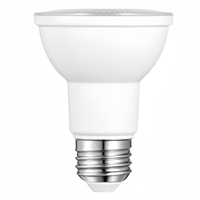 E27 Base 12V Entrée 8W Lumière du jour blanche chaude Par20 LED Ampoule de piscine pour petit spa