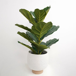 Offre Spéciale Oh Arts olivier artificiel <span class=keywords><strong>de</strong></span> haute qualité 55 cm <span class=keywords><strong>en</strong></span> Pot <span class=keywords><strong>en</strong></span> <span class=keywords><strong>osier</strong></span> plantes vertes arbre <span class=keywords><strong>de</strong></span> Simulation pour la décoration <span class=keywords><strong>de</strong></span> jardin à la maison - Product Image 6