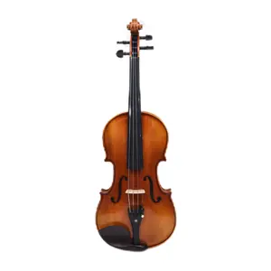 High Quality Professional Violin 4/4 Spruce Solidwood 4 Strings Musical Instrument Set with Bow and Case