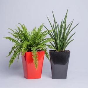 Factory Direct Square <b>Plastic</b> Plant Pot Premium PP Flower <b>Planter</b> Modern Taper Design for Nursery Home Office Garden Landscaping - Product Image 4