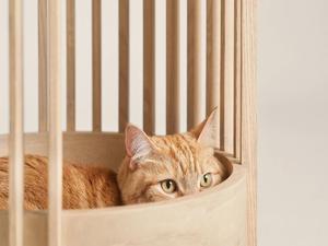Letto per gatti a doppio strato in legno massello per uso domestico resistente ai graffi semi chiuso - Product Image 5