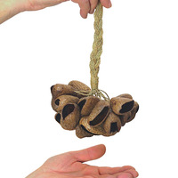 Pengocok Biji Cangkang Kacang Alami, Alat Perkusi Tangan, Hadiah, Pengocok Cangkang Biji Panji, Instrumen Penyembuhan Suara, Aksesoris