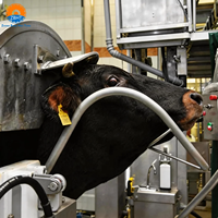 Abattoir halal pour bovins, équipement complet d'abattage, machines de transformation de la viande, opérations d'abattage modernes, personnalisable