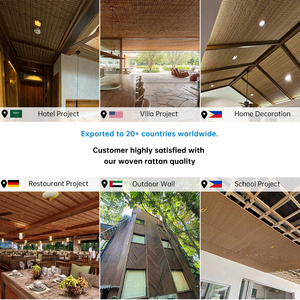 Panneau de plafond en rotin plastique tissé LTR, résistant aux intempéries, ignifuge, feuille de façade en rotin PE pour projets extérieurs et intérieurs - Product Image 6