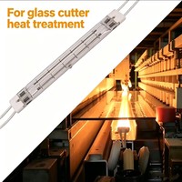 Chauffe-infrarouge halogène à tube double semi-enduit à ondes courtes en quartz 11*23mm 670mm 220V 4000W pour le traitement thermique des coupe-verre