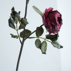 Neues Produkt Home Decoration Rose Blumen Seidenstoff Blumen Hochzeits feier liefert künstliche Rosen - Product Image 2