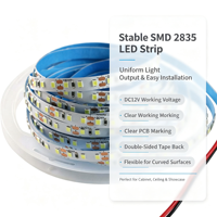 Bandes lumineuses LED flexibles personnalisées 12V 120 LED 240 LED 5M/rouleau SMD 2835 Bande lumineuse LED pour éclairage intérieur