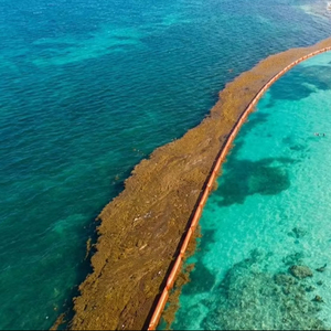Barriere Galleggianti di Alghe Marine per Prevenire l'Accumulo di Detriti Problematici e Incontrollabili sulla Spiaggia - Product Image 1