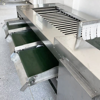 YOUBAN Fabrieks Prijs RVS Gewichtssorteermachine Automatische Fruitgewichtsgrader voor de Landbouwsector