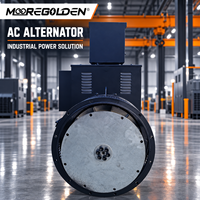 Tête de générateur industriel 30 kVA 24 kW, alternateur synchrone sans balais 50 Hz ou 60 Hz pour générateur diesel