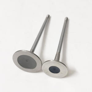 55194219 55200334 55219143 55200335 55200422 soupape d'échappement d'entrée pour <span class=keywords><strong>Fiat</strong></span> 55219144 <span class=keywords><strong>GRANDE</strong></span> <span class=keywords><strong>PUNTO</strong></span> 500 1.4 A4.000 169 A4.000 - Product Image 4