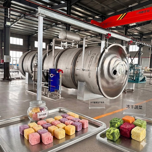 Secador por Congelación al Vacío, Dispositivo <span class=keywords><strong>para</strong></span> Congelación y Deshidratación a Baja Temperatura <span class=keywords><strong>de</strong></span> Productos Cárnicos, Frutas y Verduras - Product Image 1