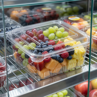 Boîte à collation en PET transparente en vrac 500g, conteneur alimentaire jetable pour biscuits avec couvercle, qualité alimentaire, recyclable, vente en gros