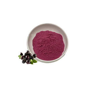 <strong>Brazilian</strong> Berry Powder in Stock <strong>Brazilian</strong> Berry Concentrated Juice Powder Large Quantity Excellent Full Water Soluble Dry Powder - Product Image 4