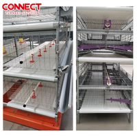 Cage automatique de batterie de poulets de chair de volaille de volaille Coop équipement d'élevage de ferme de grande capacité gestion de système de nouvelle usine