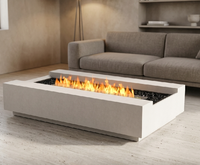 Table de foyer décorative moderne en acier multi-combustibles (bois/gaz) pour usage intérieur/extérieur dans les villas et les maisons d'hôtes