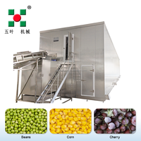 Vloeibaarbed-snelvriesapparatuur IQF-vriesmachine Hoge efficiëntie SUS304 voor fruit, groenten en visverwerkingsbedrijven