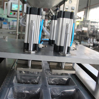 Machine à emballer la peau de Film de crème glacée thermoscellant sous vide d'air pour l'emballage alimentaire