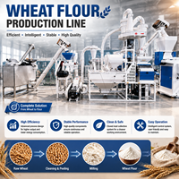 Ligne de production de farine de blé à alimentation automatique : réduit l'engagement manuel, augmente l'efficacité de travail pour les petites usines de farine