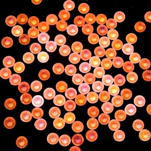Strass en verre lumineux Oleeya Factory SS6-SS30, couleurs opale, 100 grosses unités, diamants pour ongles, cristal Pixie qui brille dans le noir pour l'art des ongles DIY - Product Image 4