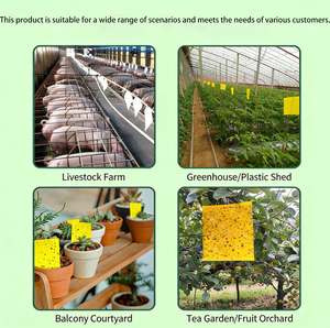 Pièges à insectes pour arbres fruitiers, plaques collantes jaunes et bleues intégrées, lutte antiparasitaire sans pesticide pour plantes vertes - Product Image 4