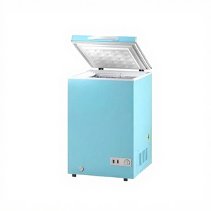 Congélateurs <span class=keywords><strong>Coffre</strong></span> Commerciaux Industriels 100L 200L 150L Alimentés par Courant Alternatif – Mini Congélateurs à Crème Glacée et Équipements de Réfrigération pour le Stockage - Product Image 2