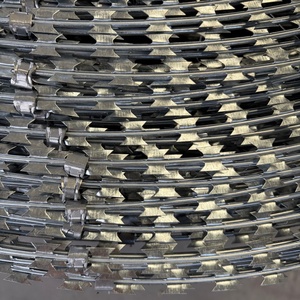 <span class=keywords><strong>ลวดหนาม</strong></span> ลวดมีดโกน - Product Image 1