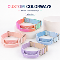 Collier pour chien en nylon doublé néoprène souple OEM ODM, impression dégradée personnalisée, largeur de sangle, finition boucle métallique et conception de patch logo
