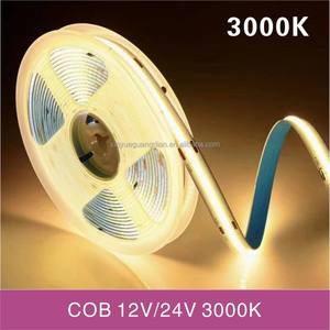 <span class=keywords><strong>Dalux</strong></span> Dual Row 2835 Tira de luces LED DC12V 4000K 480LEDs/M IP68 Impermeable Flexible Cobre Control remoto Interruptor Modo Paisaje - Product Image 4