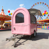 Camion de restauration mobile à gaz chaud et froid, le plus populaire aux États-Unis, avec accessoires de cuisson et four, à vendre (OEM)