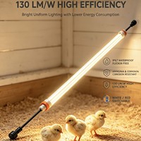 Éclairage LED professionnel pour volailles SzAMB IP67, blanc/rouge commutable, étanche, pour ferme, à intensité variable, IRC 80, 5 ans, 80 000 heures