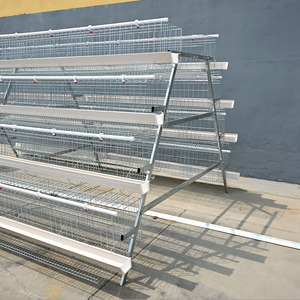 Jaulas de <span class=keywords><strong>gallinas</strong></span> ponedoras tipo A para avicultura, equipos de alimentación y cría de <span class=keywords><strong>gallinas</strong></span> ponedoras en granjas avícolas, jaulas escalonadas para aves de corral. - Product Image 6