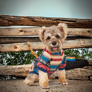 <span class=keywords><strong>Pull</strong></span> en tricot style simple avec motif ours et cœur pour petits chiens et chiots, collection automne-hiver, livraison rapide, vente en gros <span class=keywords><strong>de</strong></span> vêtements pour animaux <span class=keywords><strong>de</strong></span> compagnie - Product Image 2