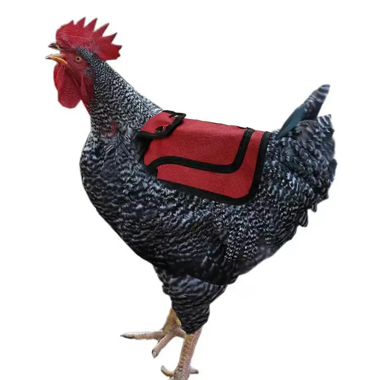 Pelindung unggas ayam betina besar Premium luar ruangan Apron pelindung sayap sadel ayam dengan tali yang dapat diatur