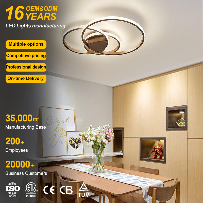 Hot Sale Home Decorative Light Led