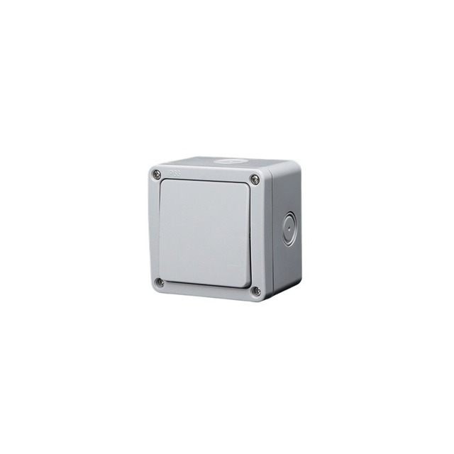 Customized IP66 Waterproof Single Pole Switch Wall Mountable Outdoor Environments Supports 16A  Current 240V