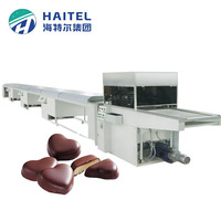 Machine d'enrobage de chocolat de collations de dates promotionnelles industrielles automatiques de SUS à vendre