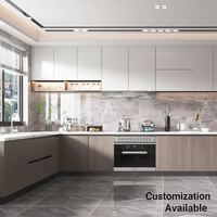 Meubles de cuisine modernes sans poignées, finition mate, pour projets de rénovation de cuisines résidentielles contemporaines, avec système d'éclairage LED