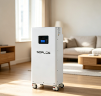 Système de stockage d'énergie domestique hybride vertical intelligent Seplos EU Stock pour pack LiFePO4 Mason 280 48V avec BMS intégré et batterie de secours solaire