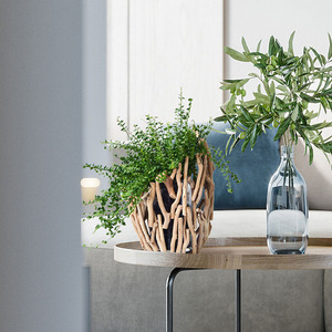 <span class=keywords><strong>Vase</strong></span> de décoration en <span class=keywords><strong>bois</strong></span> dérive naturel, fait à la main, dispositif en verre hydroponique pour décoration de maison - Product Image 6