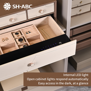 スマート引き出し 指紋認証 電子パスワード 家具 ワードローブ クローゼット ハードウェア 隠しデザイン スライド式引き出し セーフティボックス - Product Image 2