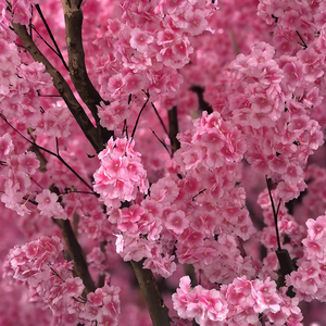 Décoration de bibliothèque d'intérieur Arbre à fleurs artificielles Grand arbre à fleurs de cerisier pour ornement de mariage Arbre à fleurs de cerisier rose/<span class=keywords><strong>blanc</strong></span> - Product Image 3
