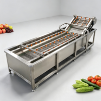 304 roestvrij staal commerciële luchtbel fruit groente wasmachine kool aardbei dagelijkse reinigingsmachine