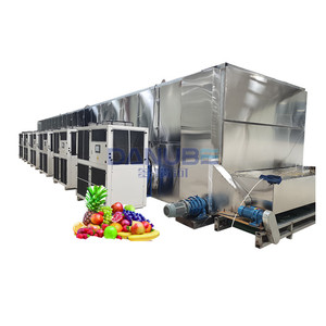 Máquina Secadora de Frutas Confitadas de Malla Continua de 12m y 6 Capas, Secadora de Cintas de Malla para Caulis y Spatholobi - Product Image 1